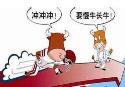 慢牛股如何交易？如何操作？