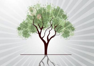 资产新规对股市的影响是什么?