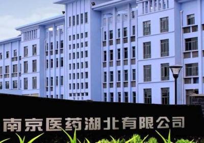 南京医药[600713]股票好吗？投资要点分析