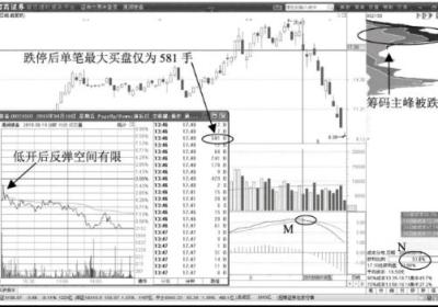 股价低开后迅速跌停第二天应该卖出股票