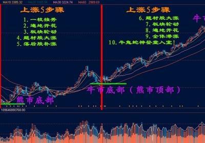 熊市转牛市什么股票会先涨？