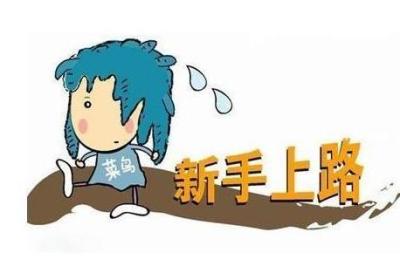 股票新手如何看数据的呢？