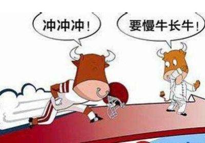 怎样操作慢牛股？操作方法是什么？