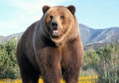 熊市末端买什么股？消费股和成长股成投资重点！