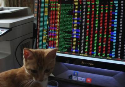 熊市每周下跌多少？三阶段说明