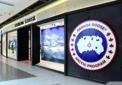 加拿大鹅暴跌_还会暴跌多久？