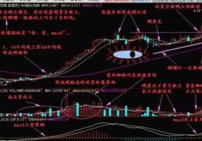 股票跟庄行动，牛散是如何跟庄吃肉的？