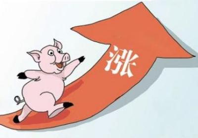 逆市上涨的股票有庄家吗？如何分析逆市现象？