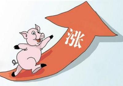 逆市大涨有何特点？逆市大涨的庄家用意是什么？