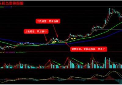 股市跟庄高手是如何选股的？有哪些秘诀？