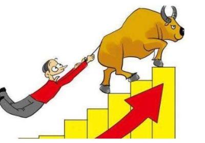 涨停股票后期的走势分析，涨还是跌?