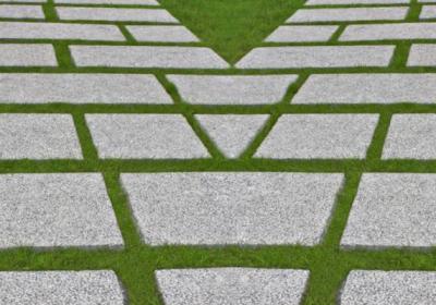 跳空低开跌停板出货法是怎样的？